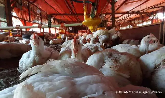 RMKO Rugi? Biang Kerok Kinerja Keuangan Terkuak!