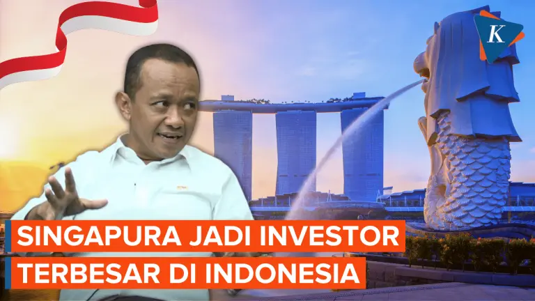 Investasi RI Makin Mudah, Investor Singapura Girang!