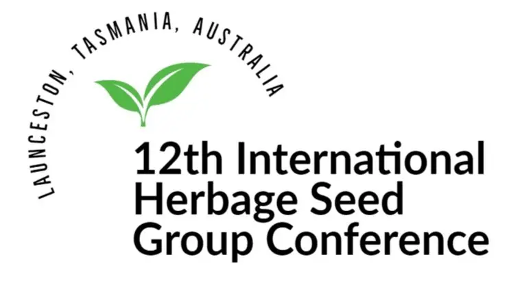 Investor Muda Pesta Cuan! IHSG 2025 Capai Rekor Fantastis!