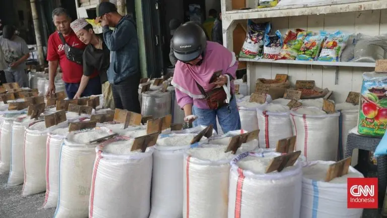 Stok Menipis! Harga Beras Melejit, BPS Beberkan Fakta stok menipis harga beras melejit bps beberkan fakta