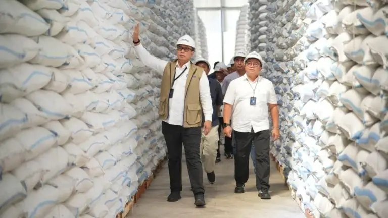 BULOG Borong Beras Petani Pangan RI Aman bulog borong beras petani pangan ri aman