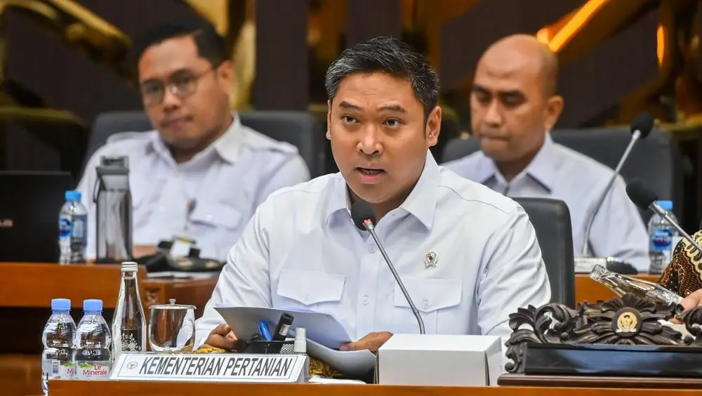 Kementan Bocorkan Harga Ayam Telur Peternak Lega 1 Kementan Bocorkan Harga Ayam Telur Peternak Lega