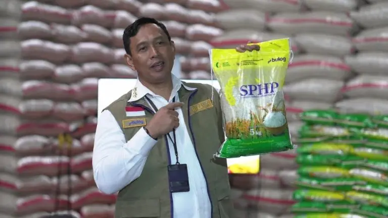 Harga Beras Aman Bulog Turun Tangan Pasokan Melimpah harga beras aman bulog turun tangan pasokan melimpah