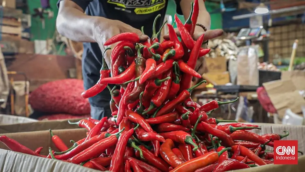 Harga Cabai Meroket Akibat Kemarau