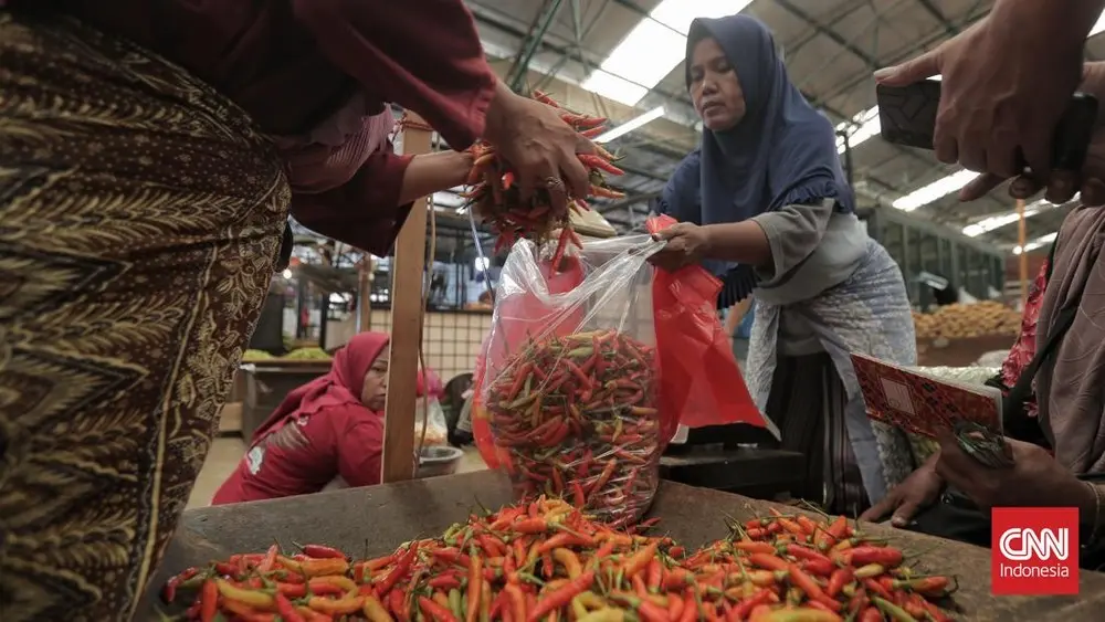 Mengapa Harga Cabai Rawit Tiba Tiba Melonjak Drastis 1 Mengapa Harga Cabai Rawit Tiba Tiba Melonjak Drastis