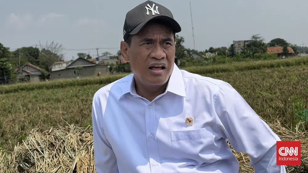 Stok Beras RI Aman 10 Bulan Mentan Ungkap Kunci
