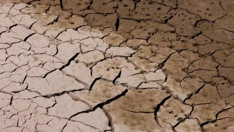 dampak el nino ganggu distribusi bbm