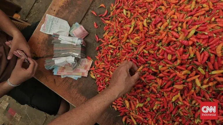 Harga Cabai Rawit Sumut Tembus Seratus Ribu harga cabai rawit sumut tembus seratus ribu