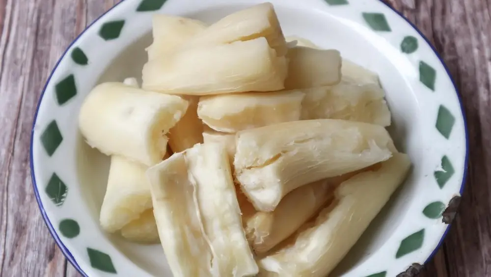 Impor Ditutup Harga Singkong Melonjak 1 Impor Ditutup Harga Singkong Melonjak