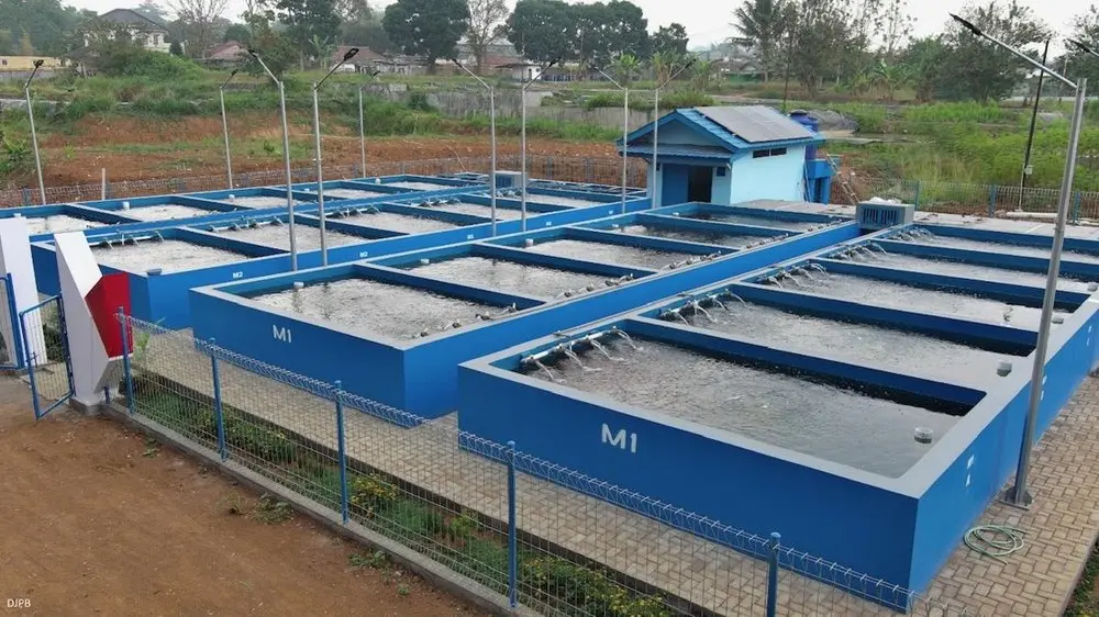 Membangun Ekonomi Desa Lewat Ikan di DIY