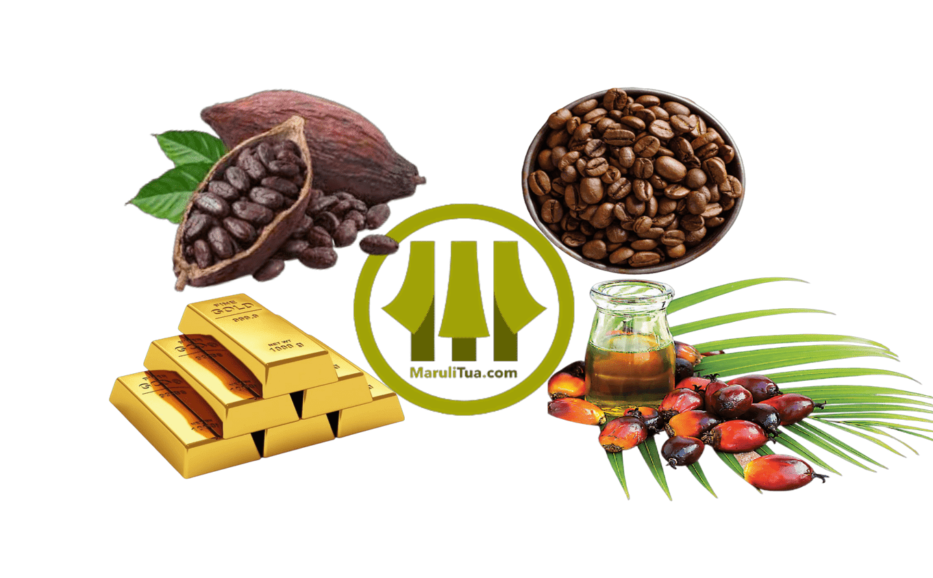 BREAKING! JFX Kantongi Izin BI, Pasar Keuangan RI Siap Berubah Total? 1 BREAKING! JFX Kantongi Izin BI, Pasar Keuangan RI Siap Berubah Total?